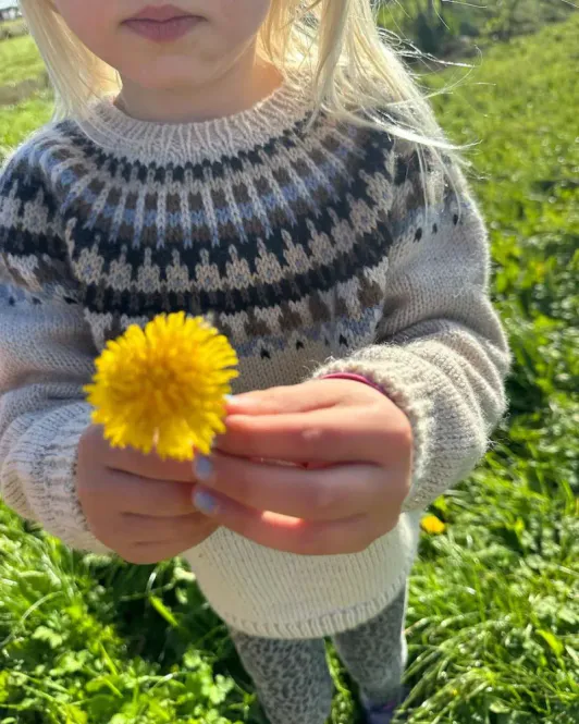 Hovedbilde Celeste Sweater Junior